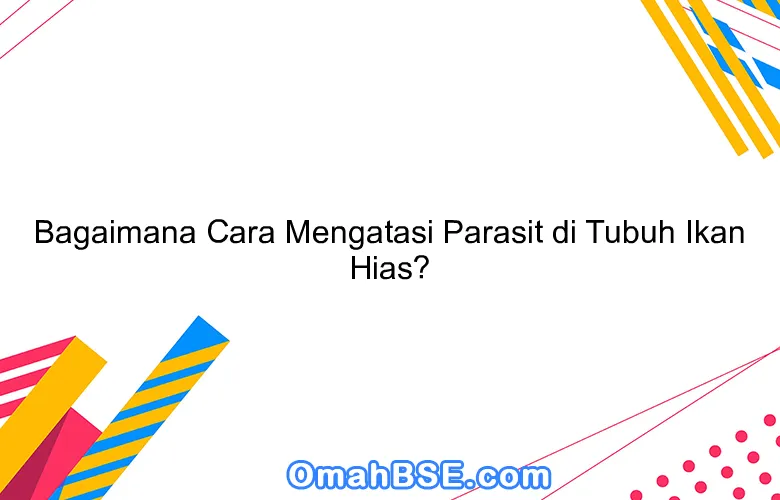 Bagaimana Cara Mengatasi Parasit di Tubuh Ikan Hias?