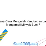 Bagaimana Cara Mengolah Kandungan Laut untuk Mengambil Minyak Bumi?