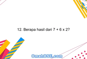 12. Berapa hasil dari 7 + 6 x 2?