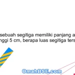 14. Jika sebuah segitiga memiliki panjang alas 8 cm dan tinggi 5 cm, berapa luas segitiga tersebut?