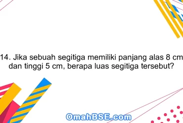 14. Jika sebuah segitiga memiliki panjang alas 8 cm dan tinggi 5 cm, berapa luas segitiga tersebut?