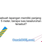 18. Jika sebuah lapangan memiliki panjang 10 meter dan lebar 5 meter, berapa luas keseluruhan lapangan tersebut?