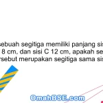 30. Jika sebuah segitiga memiliki panjang sisi A 5 cm, sisi B 8 cm, dan sisi C 12 cm, apakah segitiga tersebut merupakan segitiga sama sisi?