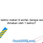 5. Jika 3 kelinci makan 6 wortel, berapa wortel yang dimakan oleh 1 kelinci?