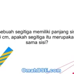 85. Jika sebuah segitiga memiliki panjang sisi 3 cm, 3 cm, dan 3 cm, apakah segitiga itu merupakan segitiga sama sisi?