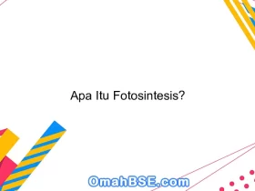 Apa Itu Fotosintesis?