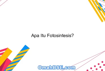 Apa Itu Fotosintesis?