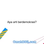 Apa arti berdemokrasi?