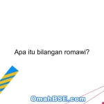 Apa itu bilangan romawi?