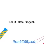 Apa itu data tunggal?