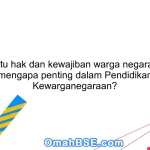 Apa itu hak dan kewajiban warga negara dan mengapa penting dalam Pendidikan Kewarganegaraan?