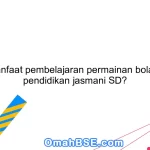 Apa manfaat pembelajaran permainan bola dalam pendidikan jasmani SD?