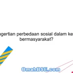 Apa pengertian perbedaan sosial dalam kehidupan bermasyarakat?