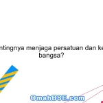 Apa pentingnya menjaga persatuan dan kesatuan bangsa?