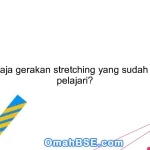 Apa saja gerakan stretching yang sudah kamu pelajari?