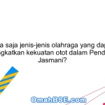 Apa saja jenis-jenis olahraga yang dapat meningkatkan kekuatan otot dalam Pendidikan Jasmani?