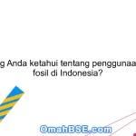 Apa yang Anda ketahui tentang penggunaan energi fosil di Indonesia?