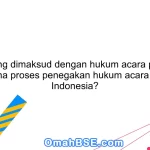 Apa yang dimaksud dengan hukum acara pidana? Bagaimana proses penegakan hukum acara pidana di Indonesia?