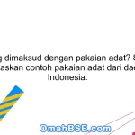 Apa yang dimaksud dengan pakaian adat? Sebutkan dan jelaskan contoh pakaian adat dari daerah di Indonesia.