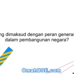 Apa yang dimaksud dengan peran generasi muda dalam pembangunan negara?