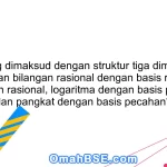 Apa yang dimaksud dengan struktur tiga dimensi dari himpunan bilangan rasional dengan basis rasional, eksponen rasional, logaritma dengan basis pecahan, dan pangkat dengan basis pecahan?