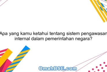 Apa yang kamu ketahui tentang sistem pengawasan internal dalam pemerintahan negara?