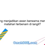 Apa yang menjadikan awan berwarna merah saat matahari terbenam di langit?