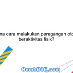 Bagaimana cara melakukan peregangan otot setelah beraktivitas fisik?