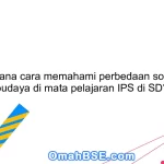 Bagaimana cara memahami perbedaan sosial dan budaya di mata pelajaran IPS di SD?