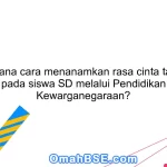 Bagaimana cara menanamkan rasa cinta tanah air pada siswa SD melalui Pendidikan Kewarganegaraan?