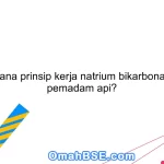 Bagaimana prinsip kerja natrium bikarbonat dalam pemadam api?