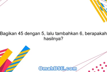 Bagikan 45 dengan 5, lalu tambahkan 6, berapakah hasilnya?