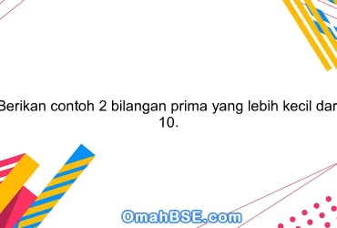 Berikan contoh 2 bilangan prima yang lebih kecil dari 10.