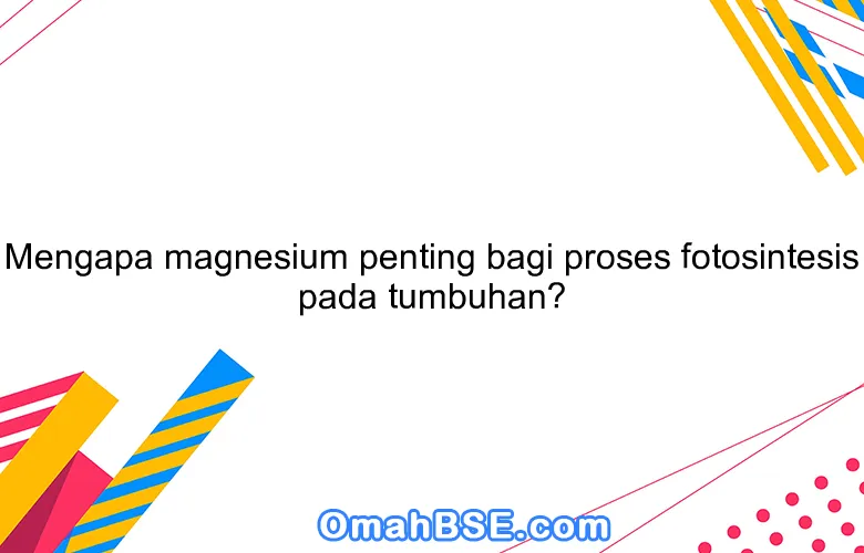 Mengapa magnesium penting bagi proses fotosintesis pada tumbuhan?