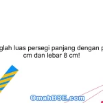 17. Hitunglah luas persegi panjang dengan panjang 6 cm dan lebar 8 cm!