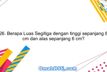 26. Berapa Luas Segitiga dengan tinggi sepanjang 8 cm dan alas sepanjang 6 cm?