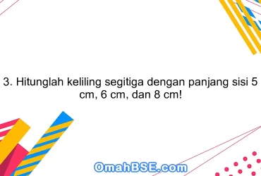 3. Hitunglah keliling segitiga dengan panjang sisi 5 cm, 6 cm, dan 8 cm!