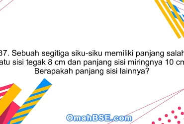 37. Sebuah segitiga siku-siku memiliki panjang salah satu sisi tegak 8 cm dan panjang sisi miringnya 10 cm. Berapakah panjang sisi lainnya?