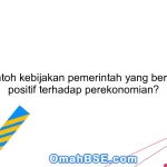 Apa contoh kebijakan pemerintah yang berdampak positif terhadap perekonomian?