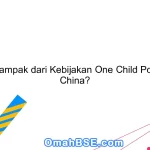 Apa dampak dari Kebijakan One Child Policy di China?