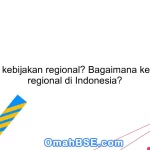 Apa itu kebijakan regional? Bagaimana kebijakan regional di Indonesia?