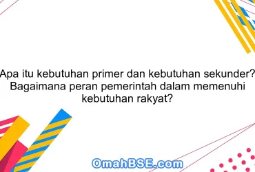 Apa itu kebutuhan primer dan kebutuhan sekunder? Bagaimana peran pemerintah dalam memenuhi kebutuhan rakyat?