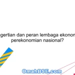 Apa pengertian dan peran lembaga ekonomi dalam perekonomian nasional?