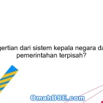 Apa pengertian dari sistem kepala negara dan kepala pemerintahan terpisah?