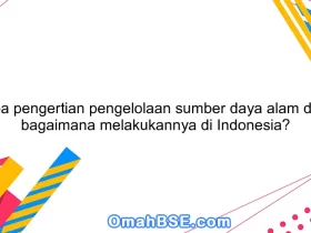 Apa pengertian pengelolaan sumber daya alam dan bagaimana melakukannya di Indonesia?