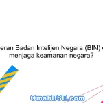 Apa peran Badan Intelijen Negara (BIN) dalam menjaga keamanan negara?