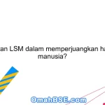 Apa peran LSM dalam memperjuangkan hak asasi manusia?