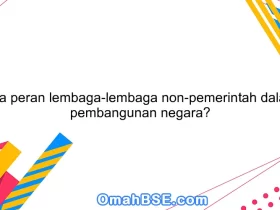 Apa peran lembaga-lembaga non-pemerintah dalam pembangunan negara?