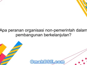 Apa peranan organisasi non-pemerintah dalam pembangunan berkelanjutan?