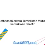 Apa perbedaan antara kemiskinan mutlak dan kemiskinan relatif?